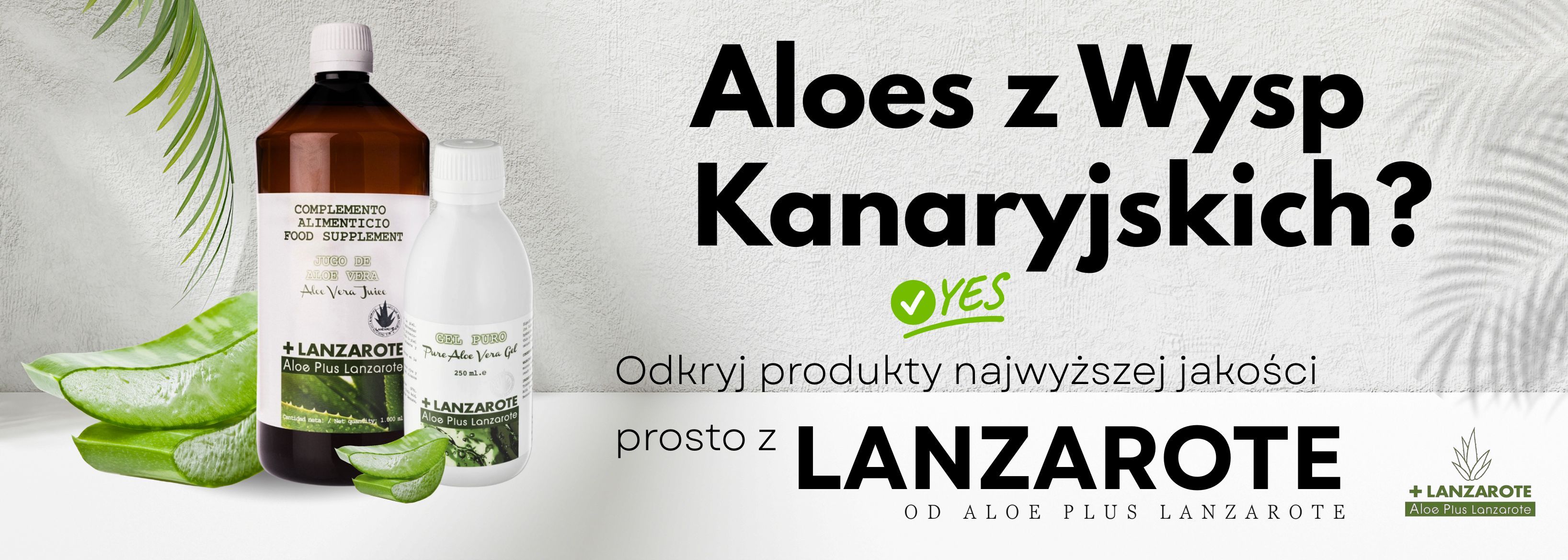 Aloes z Wysp Kanaryjskich. Poznaj sekret naturalnego piękna i zdrowia w produktach Aloe Plus Lanzarote, Aloe Canarias i Tabaibaloe!