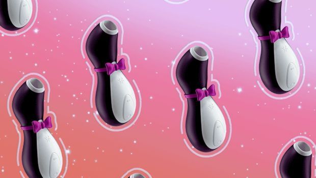 Il pinguino che conquista le vette