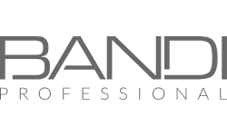 Bandi