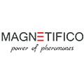 Magnetifico