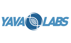 Yava Labs