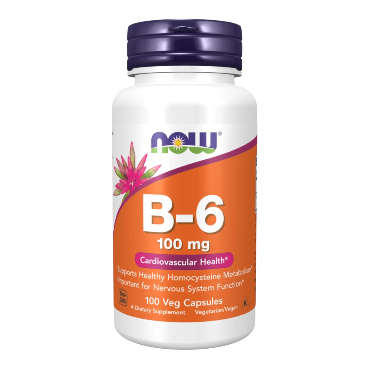 Now Foods B-6 100 mg ,kapsułki 100 szt
