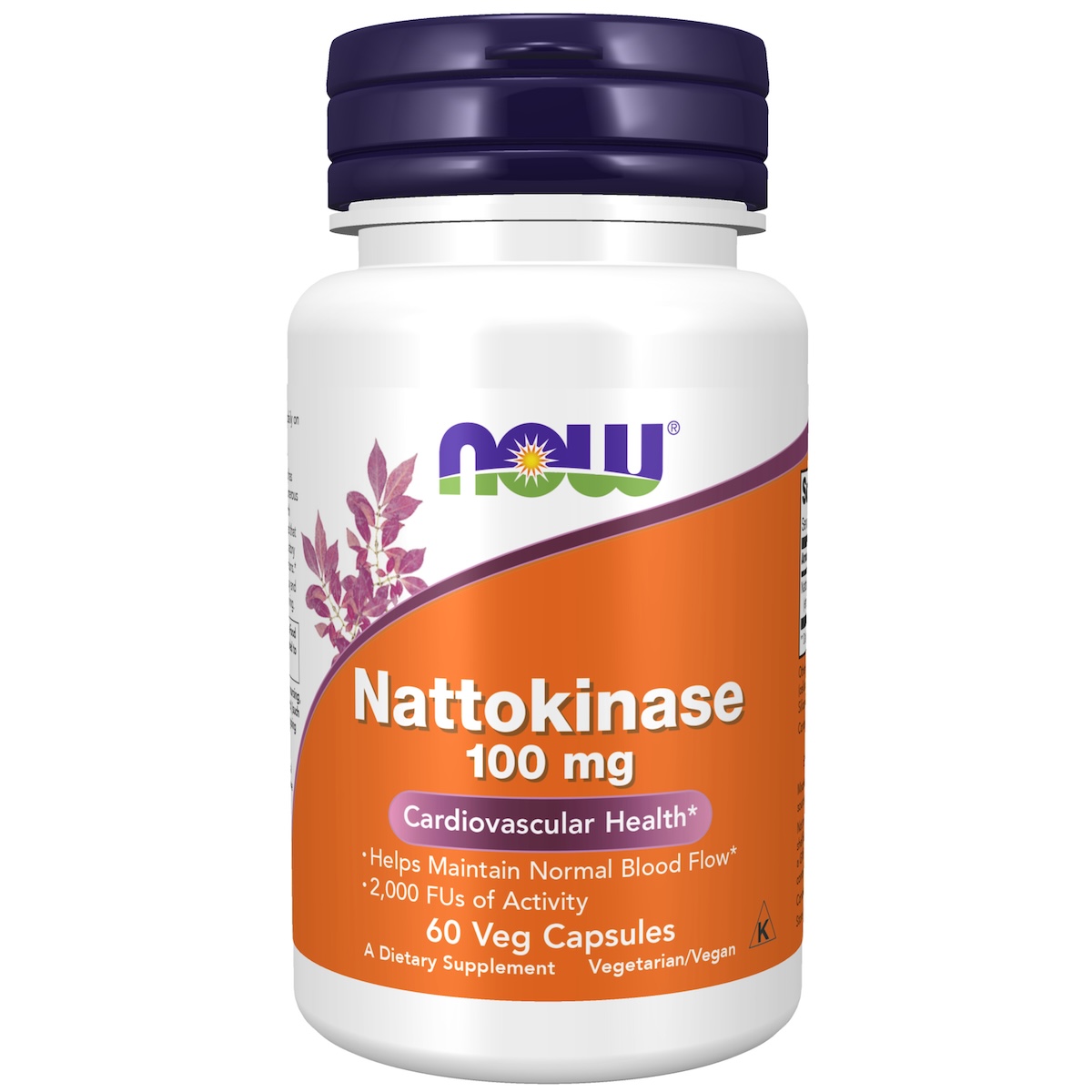 Now Foods Nattokinase 100 mg Kapsułki, 60 sztuk