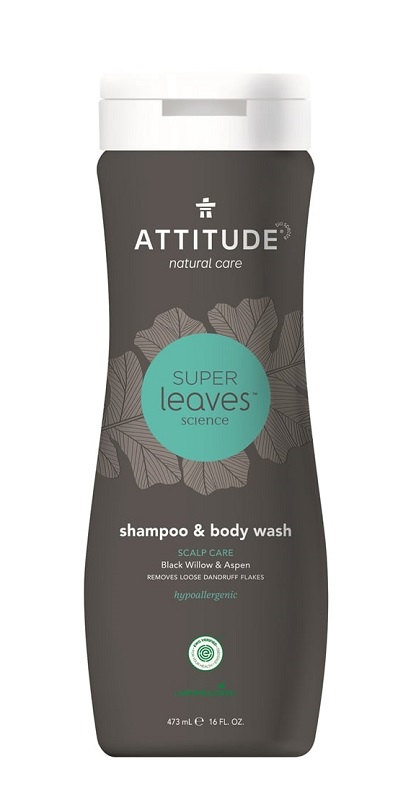 Attitude Szampon i Płyn 2w1 Scalp Care Men