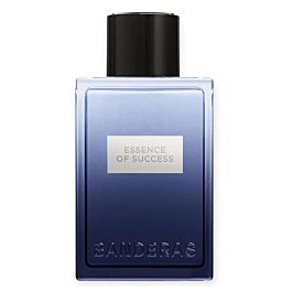 antonio banderas essence of success