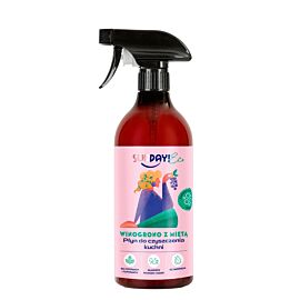 Sunday Eco Płyn do Czyszczenia Kuchni Winogrono z Miętą