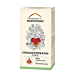 Cholestrofratin Forte Suplement diety, Proszek 30 sasz. x 2g