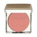 Dessi - Róż 01 Velvet Blush 12g