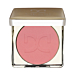 Dessi - Róż 02 Blush Me 12g