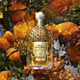 Guerlain Aqua Allegoria Forte Mandarine Basilic woda perfumowana spray, 125ml