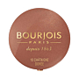 Bourjois Pastel Joues 95 Rose De Jaspe Róż do policzków