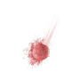 Bourjois Pastel Joues 95 Rose De Jaspe Róż do policzków