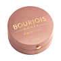 Bourjois Pastel Joues 95 Rose De Jaspe Róż do policzków