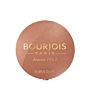 Bourjois Pastel Joues 95 Rose De Jaspe Róż do policzków