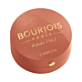 Bourjois Pastel Joues 95 Rose De Jaspe Róż do policzków