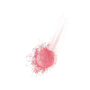Bourjois Pastel Joues 95 Rose De Jaspe Róż do policzków