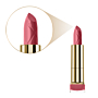 Max Factor Colour Elixir Szminka do ust, 105 Raisen