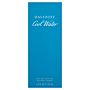 Davidoff Cool Water Woda toaletowa dla mężczyzn, 125 ml