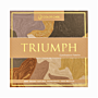 Color Care Paleta Cieni do Powiek Wegańska – Triumph