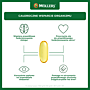 Mollers Omega-3 2000 mg, kapsułki 60 szt.