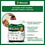 Mollers Omega-3 2000 mg, kapsułki 60 szt.