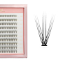 Many Lashes 10D Master Box Zestaw kępek rzęs do makijażu 8-14 mm skręt: B - delikatny skręt