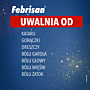 Febrisan (750 mg + 60 mg + 10 mg)/5 g 12 sasz.