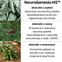 NeuroGenesis Suplement diety Focus Formula kapsułki na koncentrację i pracę mózgu