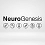 NeuroGenesis Suplement diety Focus Formula kapsułki na koncentrację i pracę mózgu