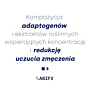 Labify Energy Flow Adaptogeny i nootropiki