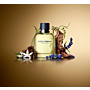 Dolce & Gabbana Pour Homme Woda toaletowa dla mężczyzn, 125 ml