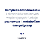 Labify Mind Drive Aminokwasy miedź Q10 i ekstrakty roślinne