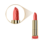 Max Factor Colour Elixir Szminka do ust, 050 Pink Brandy