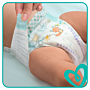 Pampers Active Baby Pieluchy (4+) Maxi Plus, 54 szt.