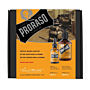 Proraso Wood and Spice Zestaw do pielęgnacji brody: szampon + olejek