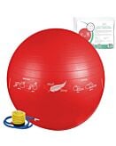 Medi Sleep piłka rehabilitacyjna gimnastyczna do ćwiczeń trening fitness z pompką 65 cm