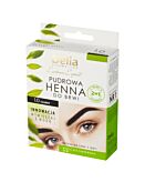 Delia Pudrowa henna do brwi 1.0 Czarna