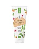Lirene Power Of Plants Odżywczy Balsam do ciała Almond Cream