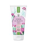 Lirene Power Of Plants Peeling Detergente Levigante Miss Opuntia 175 ml