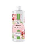 Lirene Power Of Plants Róża Kojący płyn micelarny