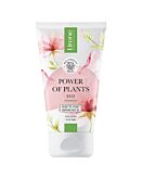Lirene Power Of Plants Róża Kojący żel Myjący