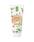 Lirene Power Of Plants Gel Doccia Crema Almond Cream 200 ml