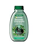 Garnier Botanic Therapy Szampon do włosów Zielona Herbata 