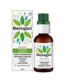 Iberogast, Płyn doustny, 100 ml