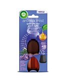 Air Wick Spokojna Noc - Aromatyczna Mgiełka (Good Night) Wkład 20 ml