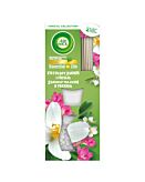 Air Wick Essential Oils Bastoncini Profumati Gelsomino Fiorito e Fresia 20,5 ml