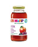 Hipp BIOSok Czerwone Owoce