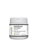 Kenay Kadzidłowiec formula Casperome Indena Phytosome
