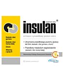 Insulan 60 Tabletek Powlekanych