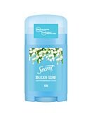 Secret Deo Stick Delicate